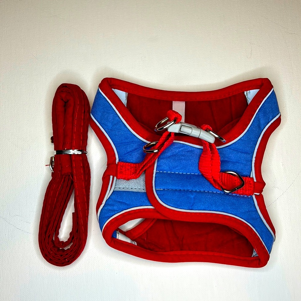 Light duty, harness, and leash
